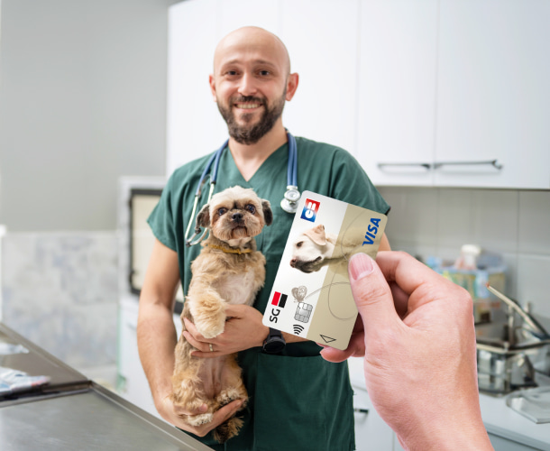 Option carte Collection Animaux