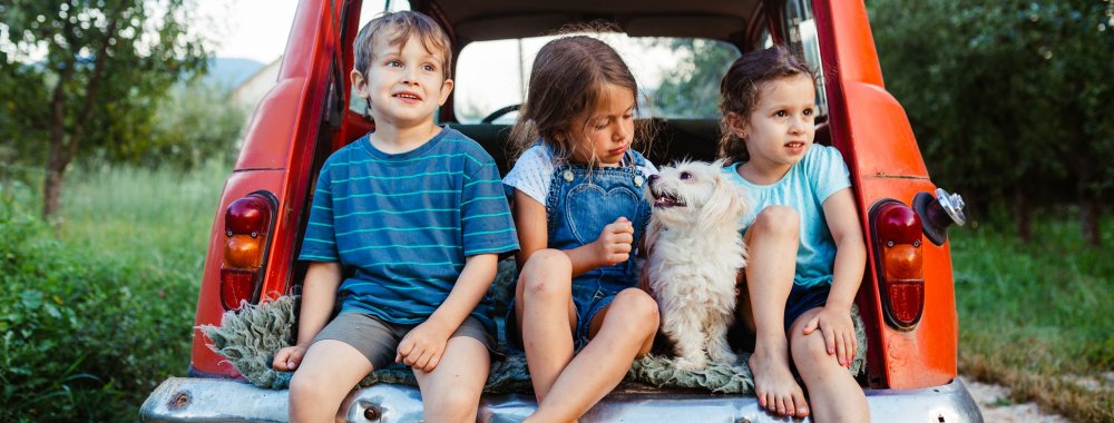 Sécurité en voiture : comment protéger tous vos passagers ?