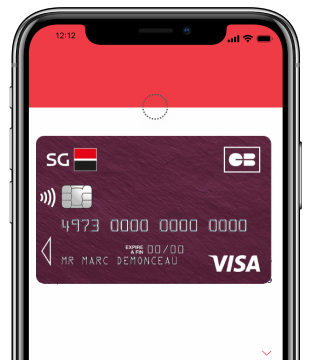 Carte Visa Evolution Paylib et Apple Pay